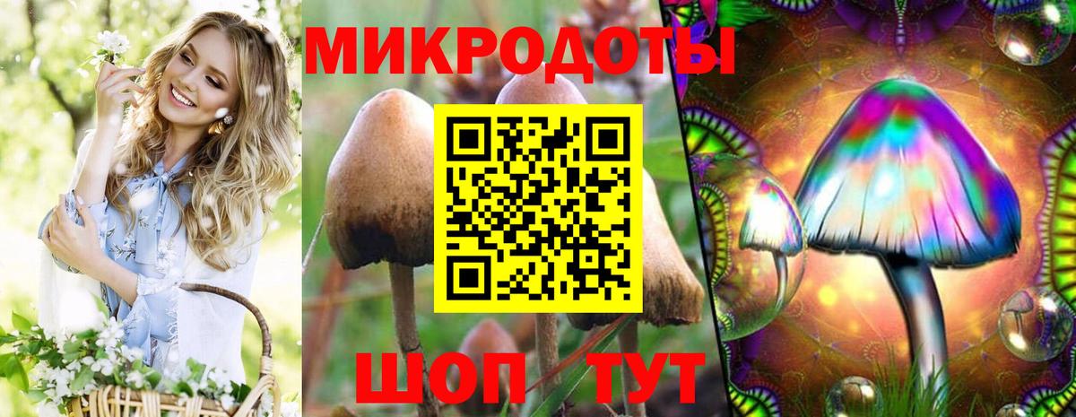 Кингисепп  Галлюциногенные грибы ЛСД  Вход с VPN 
